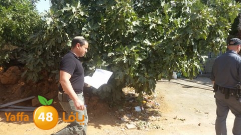 dahmashasudwq (20).jpg